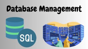 What is Database Management?